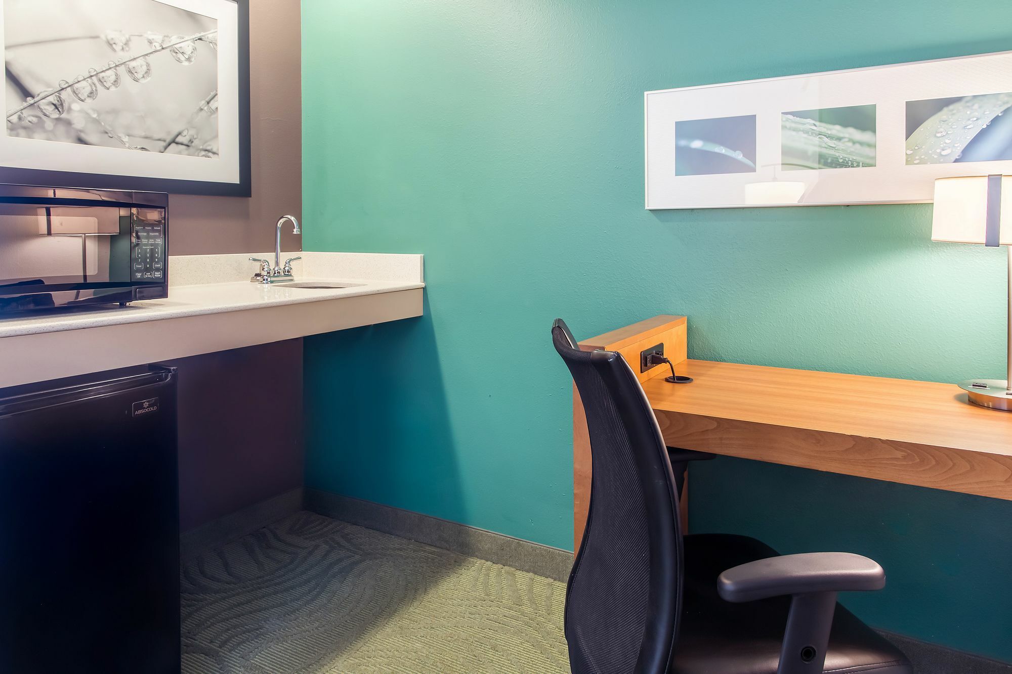 Springhill Suites By Marriott Memphis East Galleria Экстерьер фото